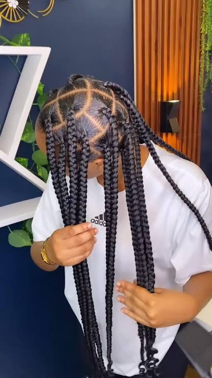 Long Box Braids hairstyle inspiration